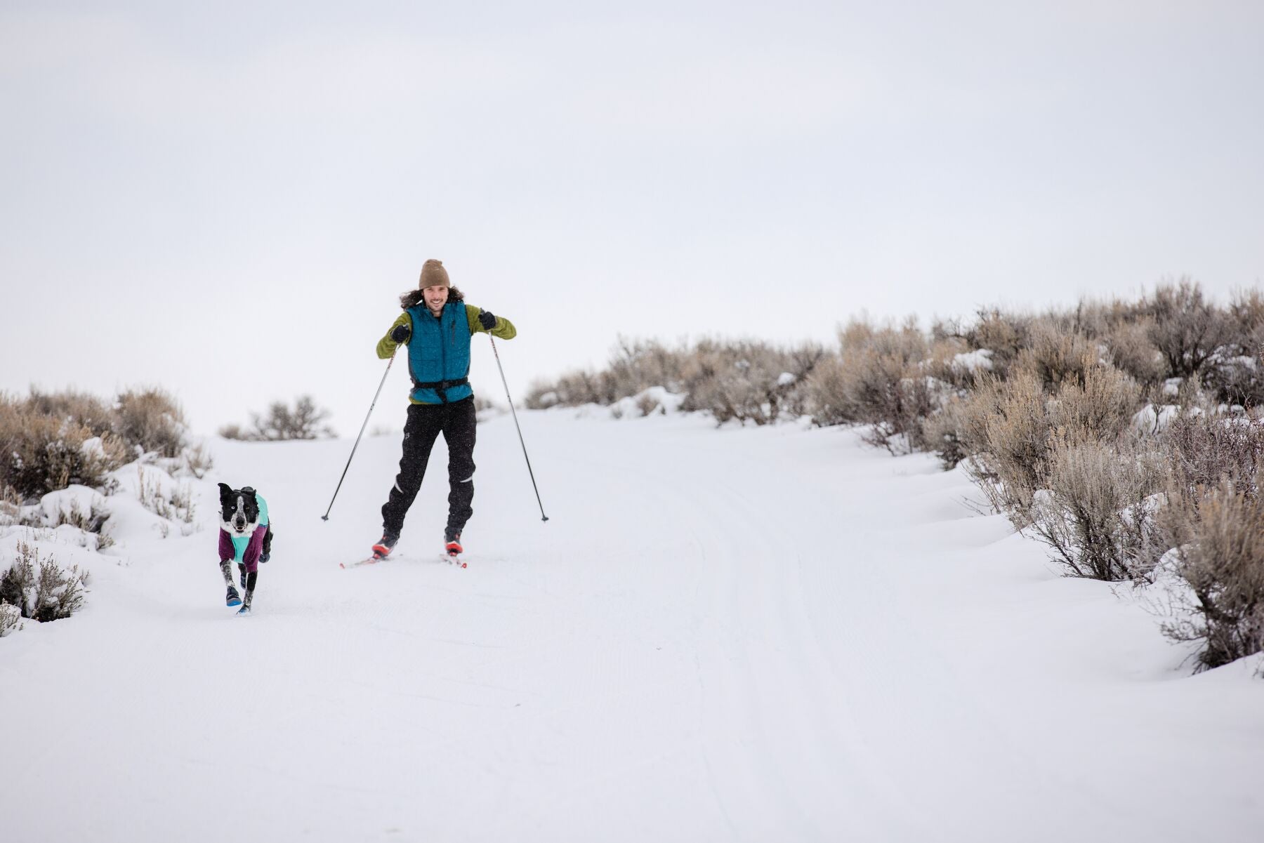 dog and human nordic skiing