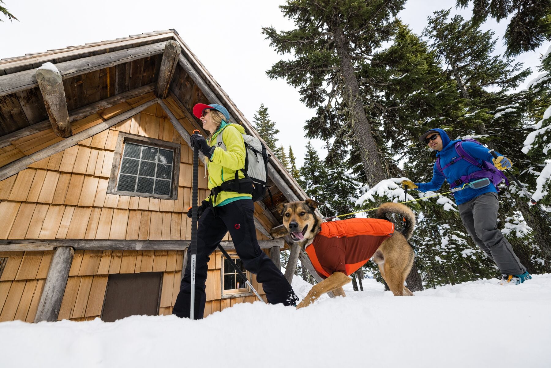 dog and two humans ski touring by a cabin