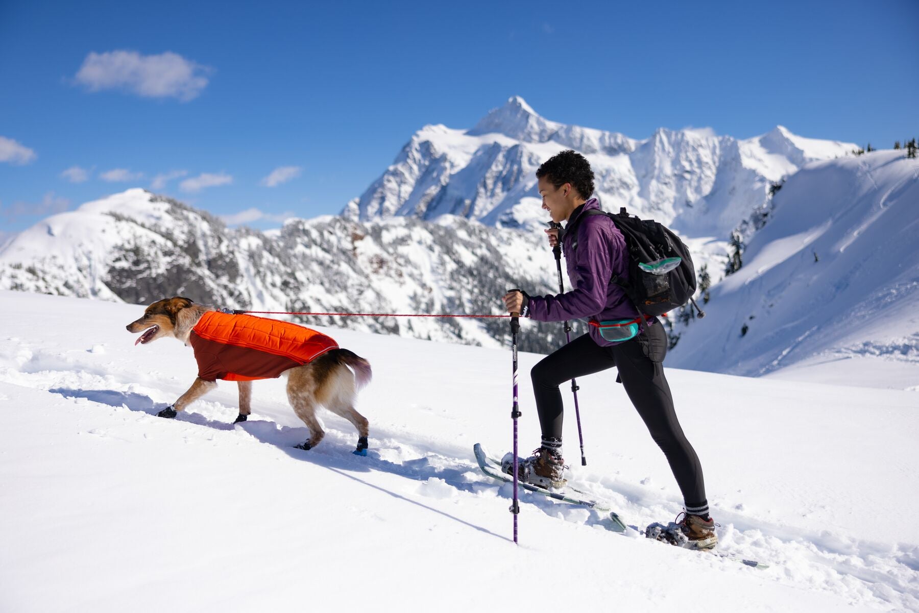 Dog and woman snowshoeing together with mountains in the background