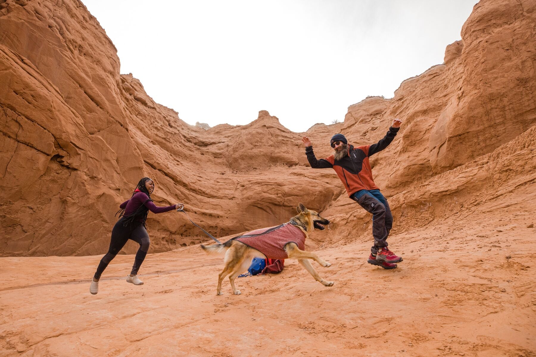 Dog and two humans hiking in desert landscape