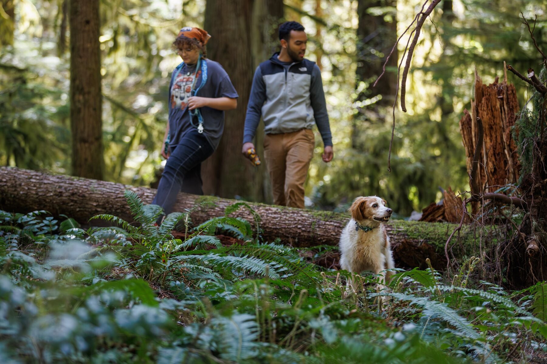 Two people hiking off trail in the forest with their dog, and dog is sniffing the air