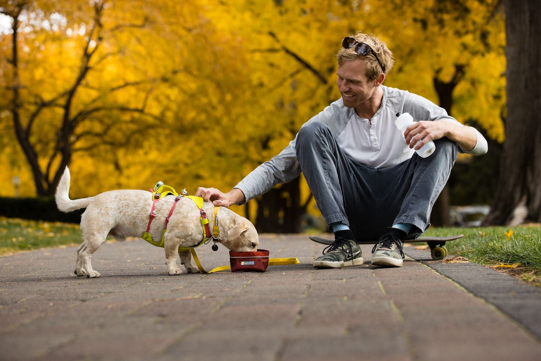 Man sitting on a skateboard feeding a small dog