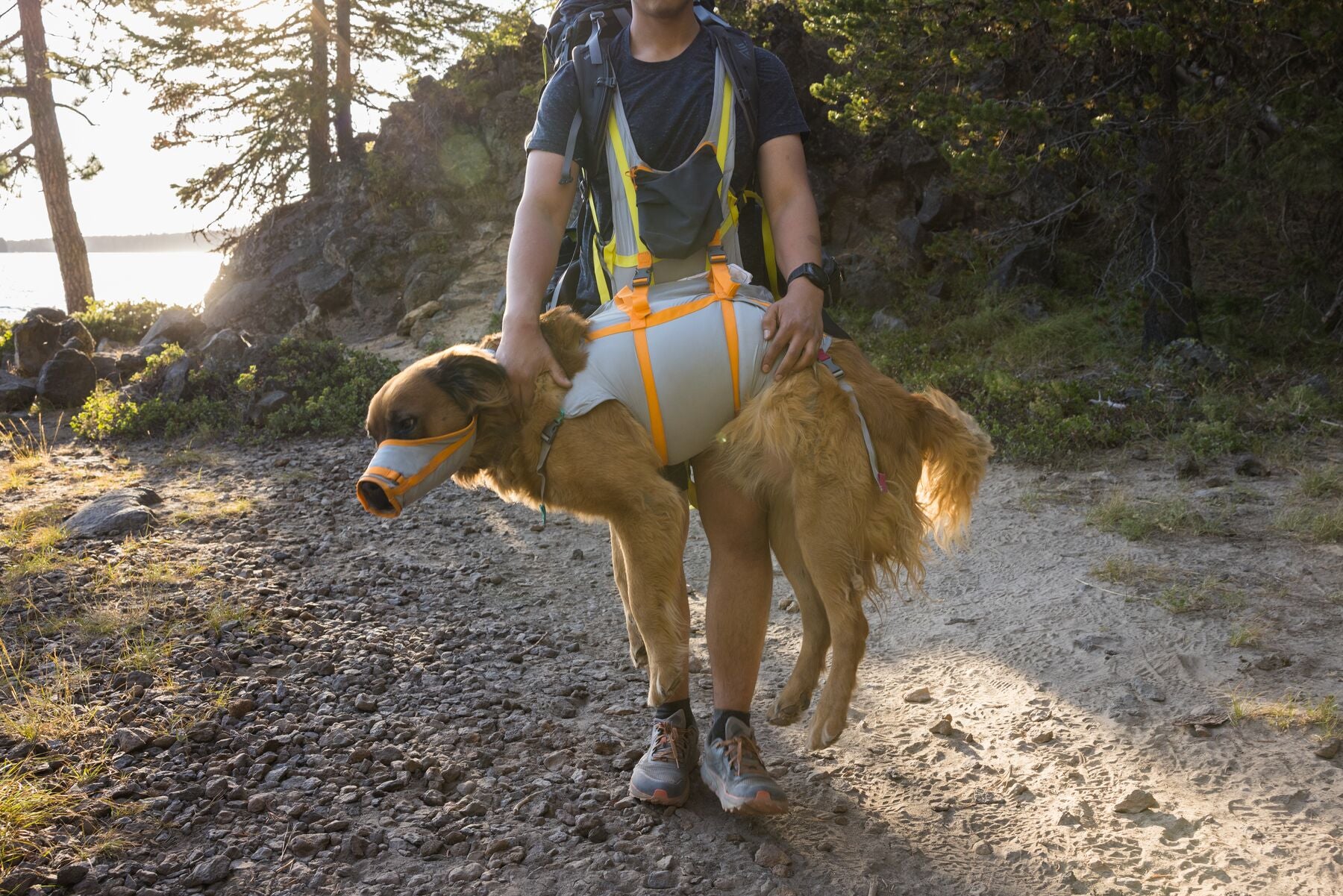 Person carrying dog in an emergency sling
