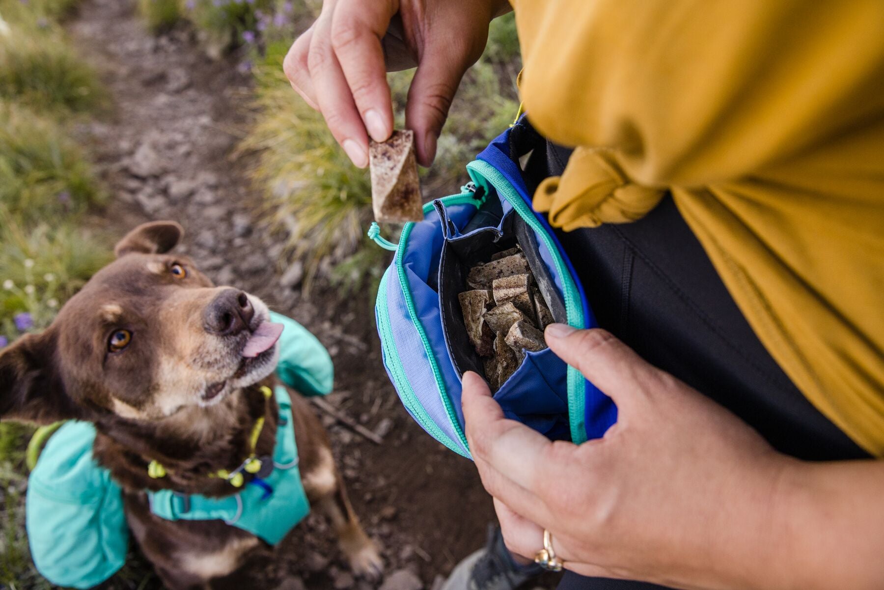 Woman giving her dog a treat