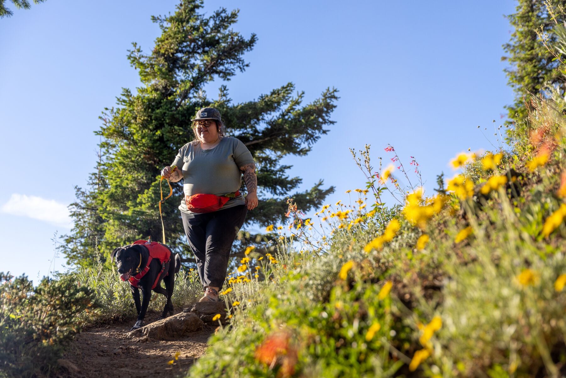 Woman and dog hiking among wildflowers