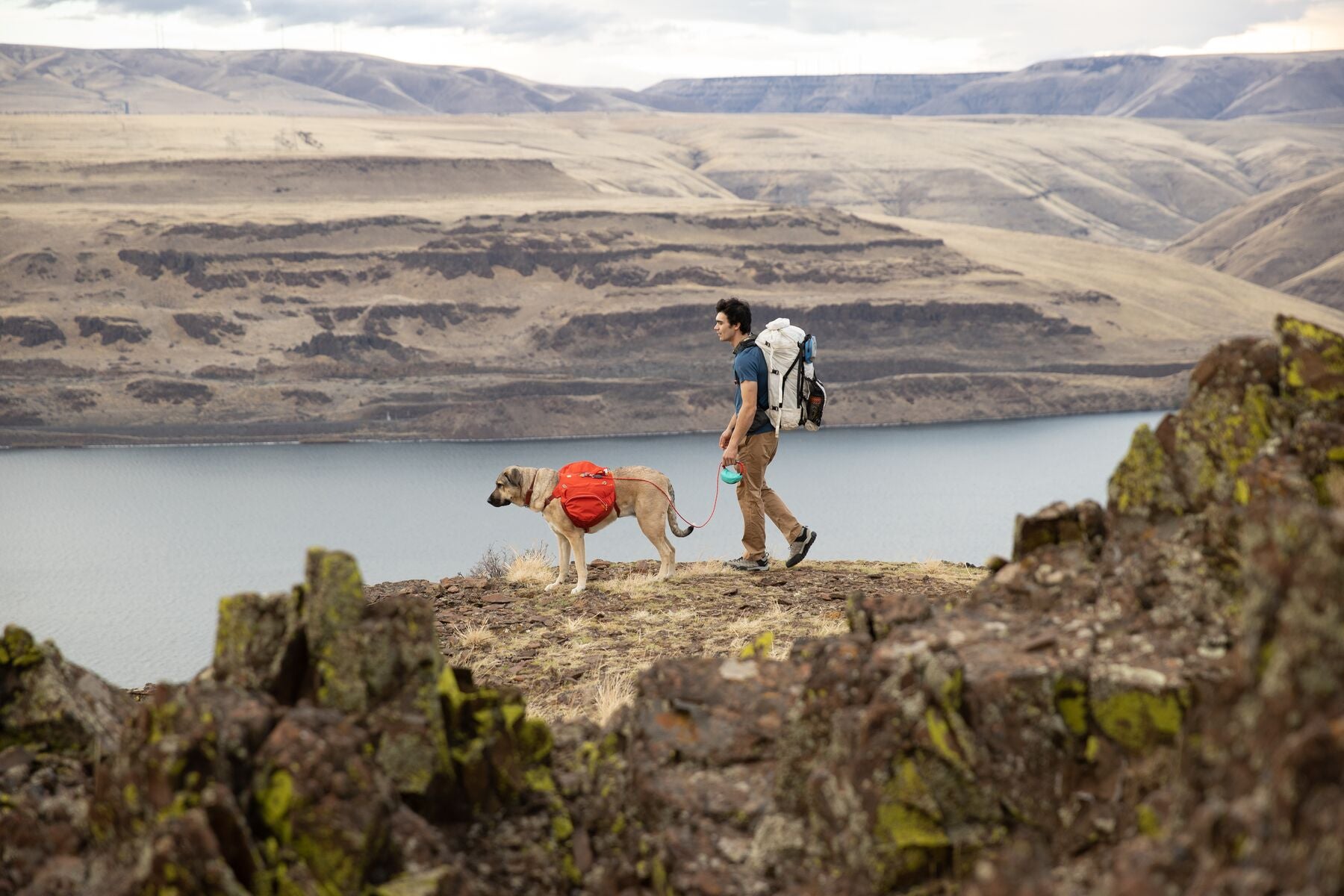 Man and dog backpacking together on a high ridge above a lake.