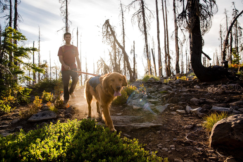 A man hikes with his dog who is wearing the Ruffwear Singletrak Dog Hydration Pack. 