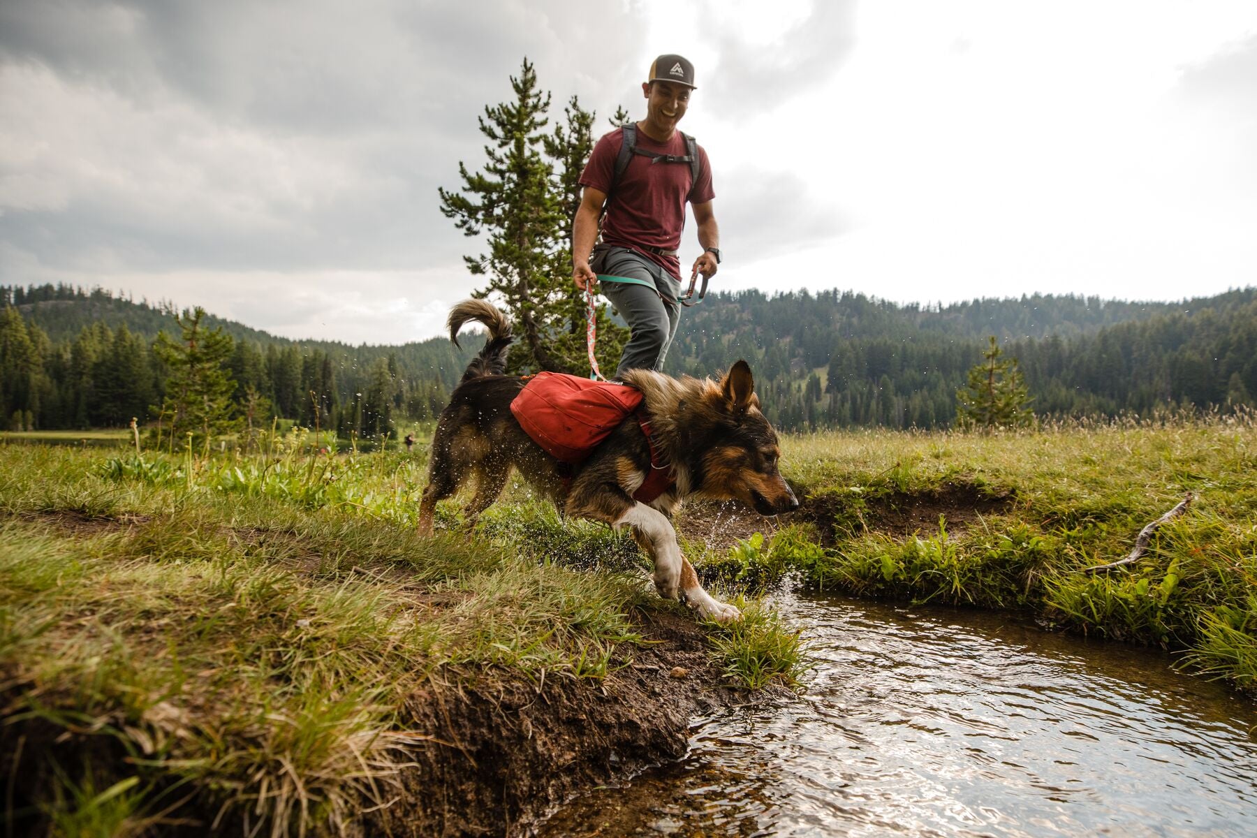 Hector hikes along creek with dog Canyon in front range day pack.