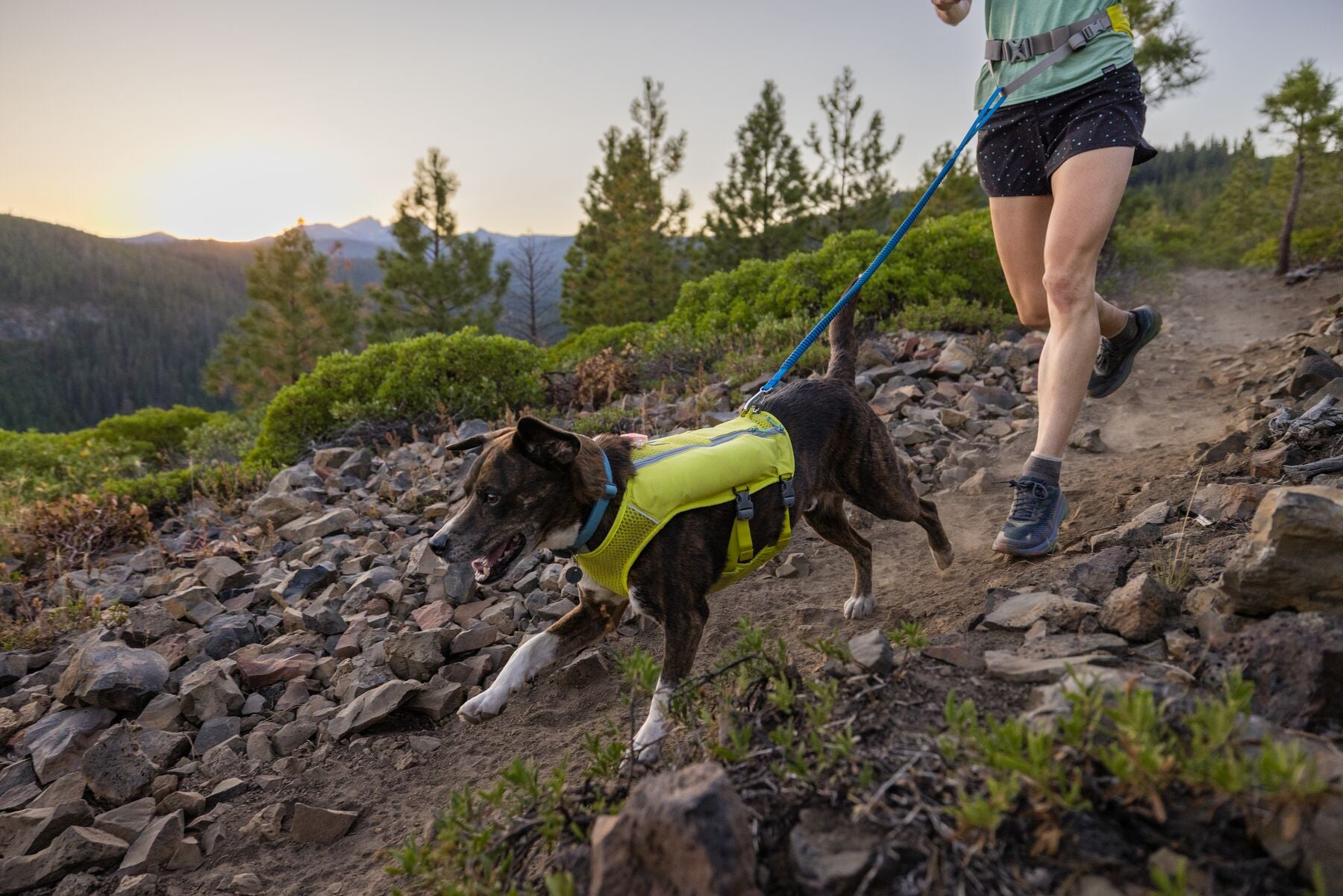 Dog wearing a hydration vest and woman running on-leash on a rocky trail together