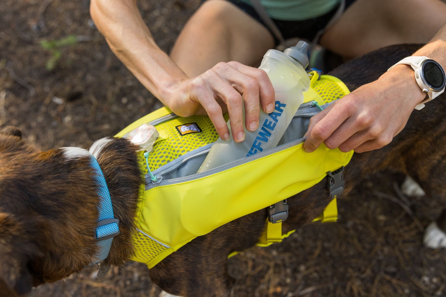 Close up of dog wearing a hydration vest, and human putting a soft flask of water in the pocket