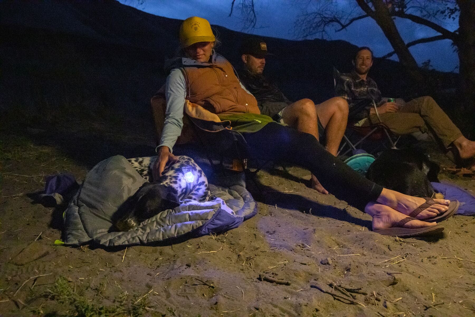 At night, three people camp with their dog on the sand. 