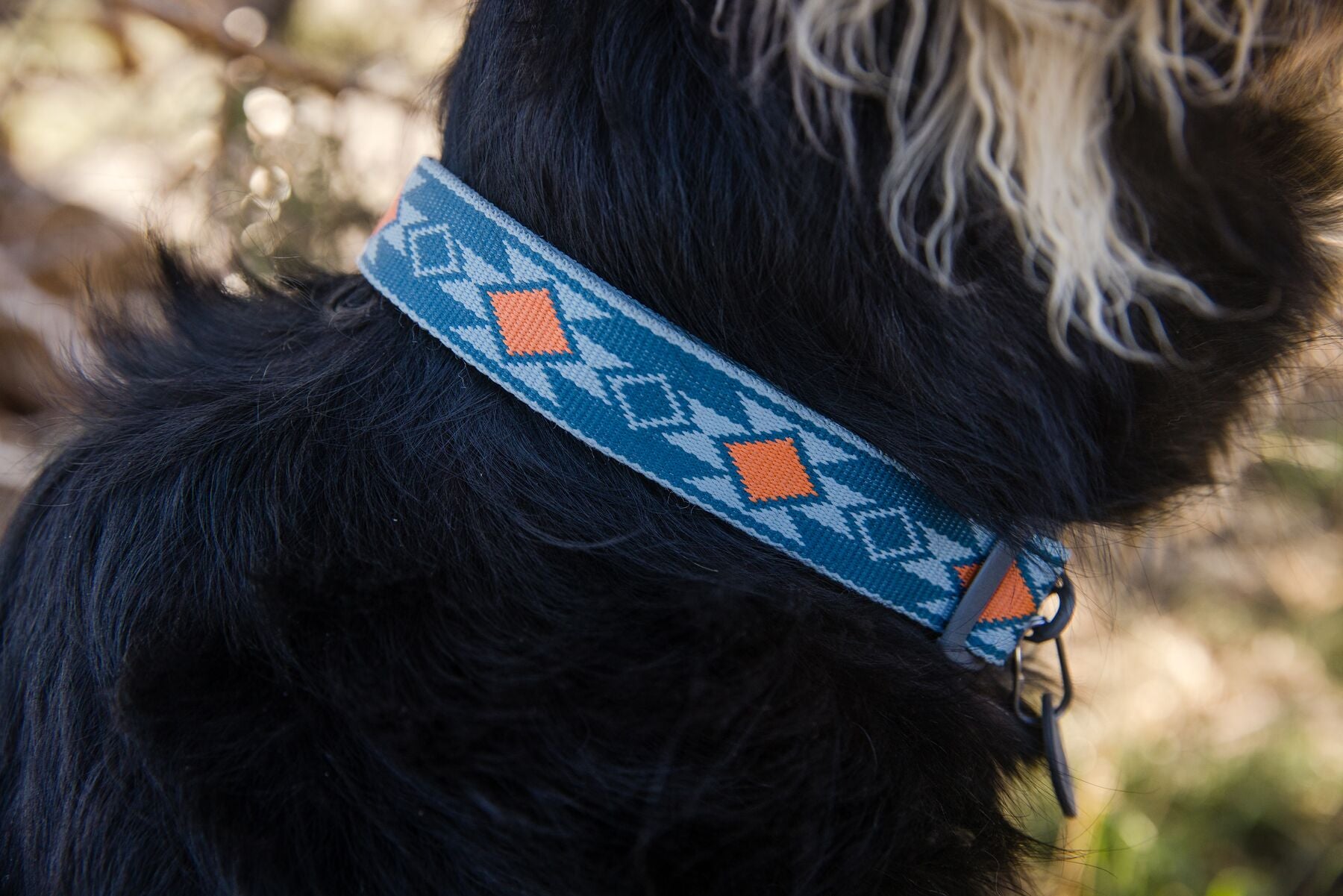 A close-up photo of a dog wearing a Ruffwear collar with the Desert Sunrise Artist Series print.
