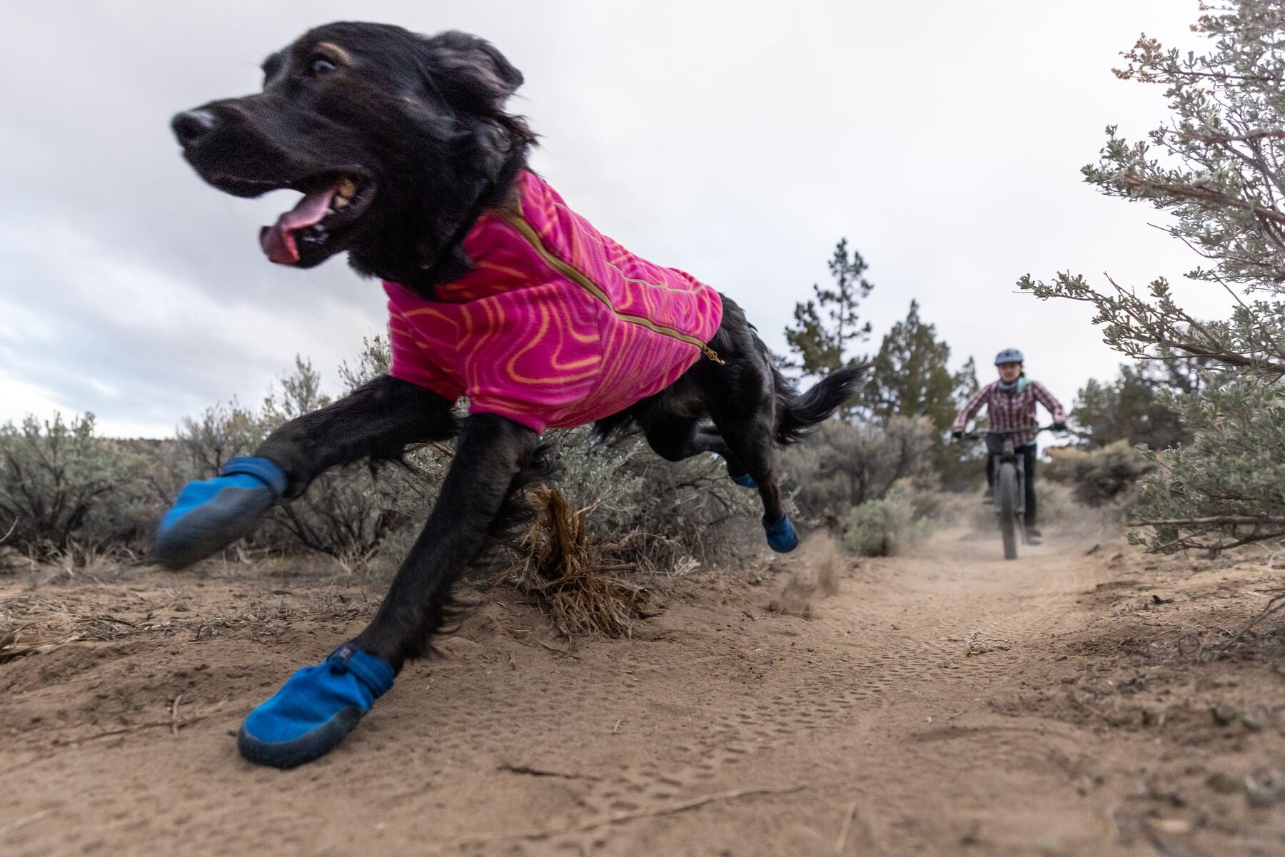 Dog wearing a fleece jacket and boots running with their person following behind them on a mountain bike