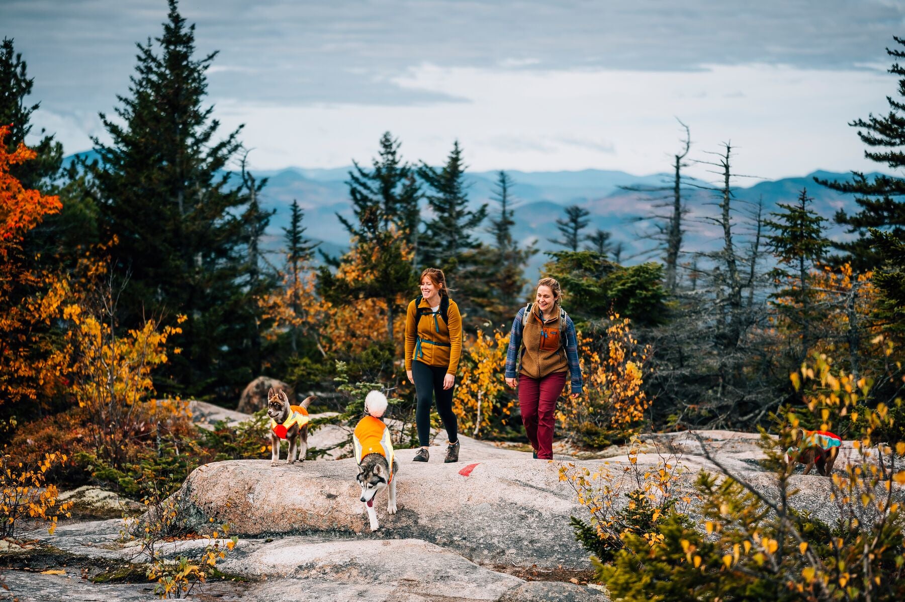 Two women hike with their two dogs on a mountain trail in the fall. 