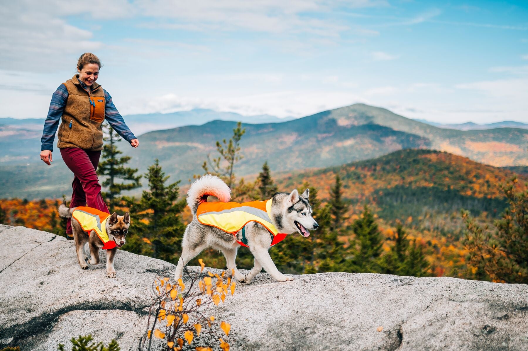 Woman hiking with two dogs