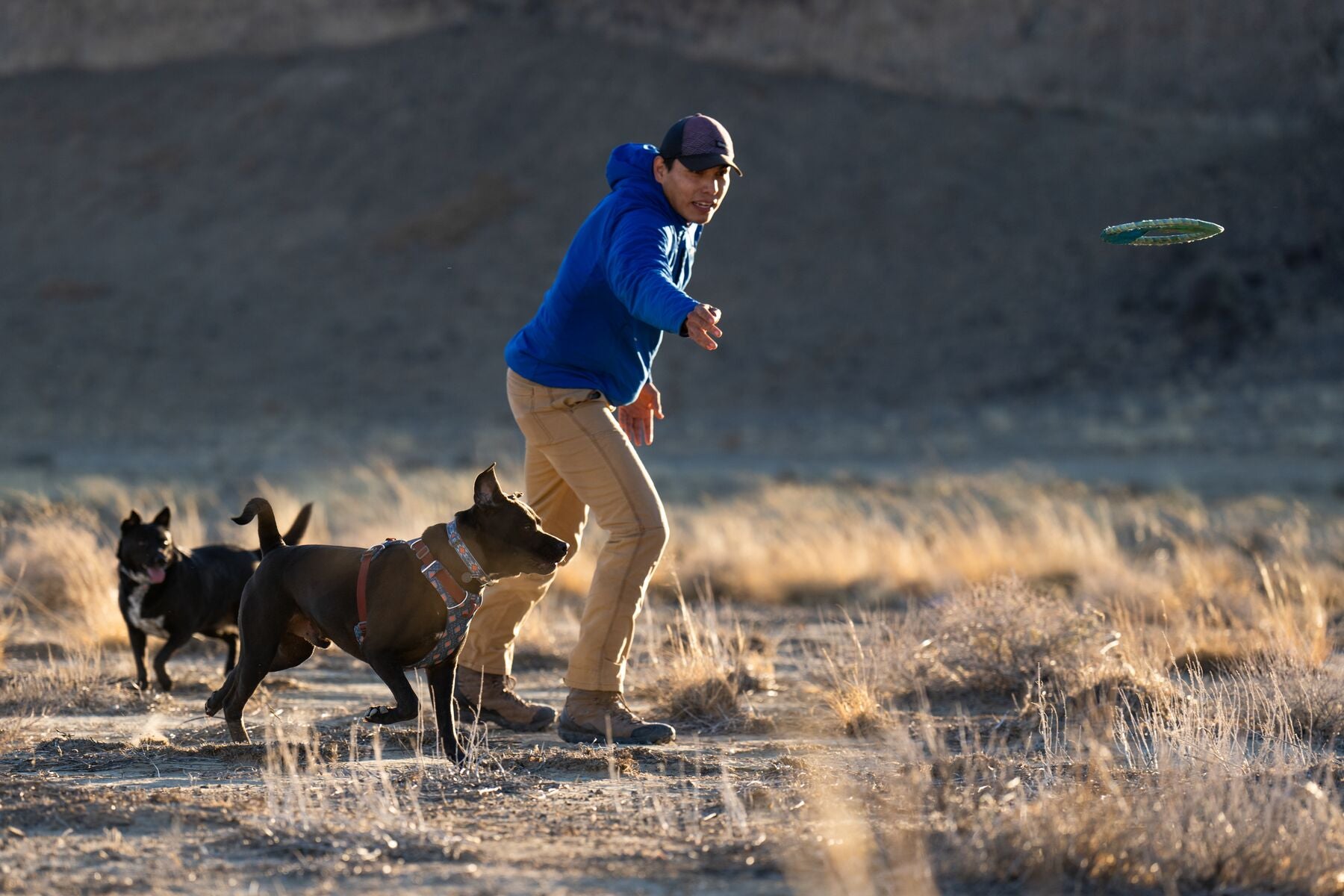 Vernan Kee throws a toy for two of his dogs while on a hike.