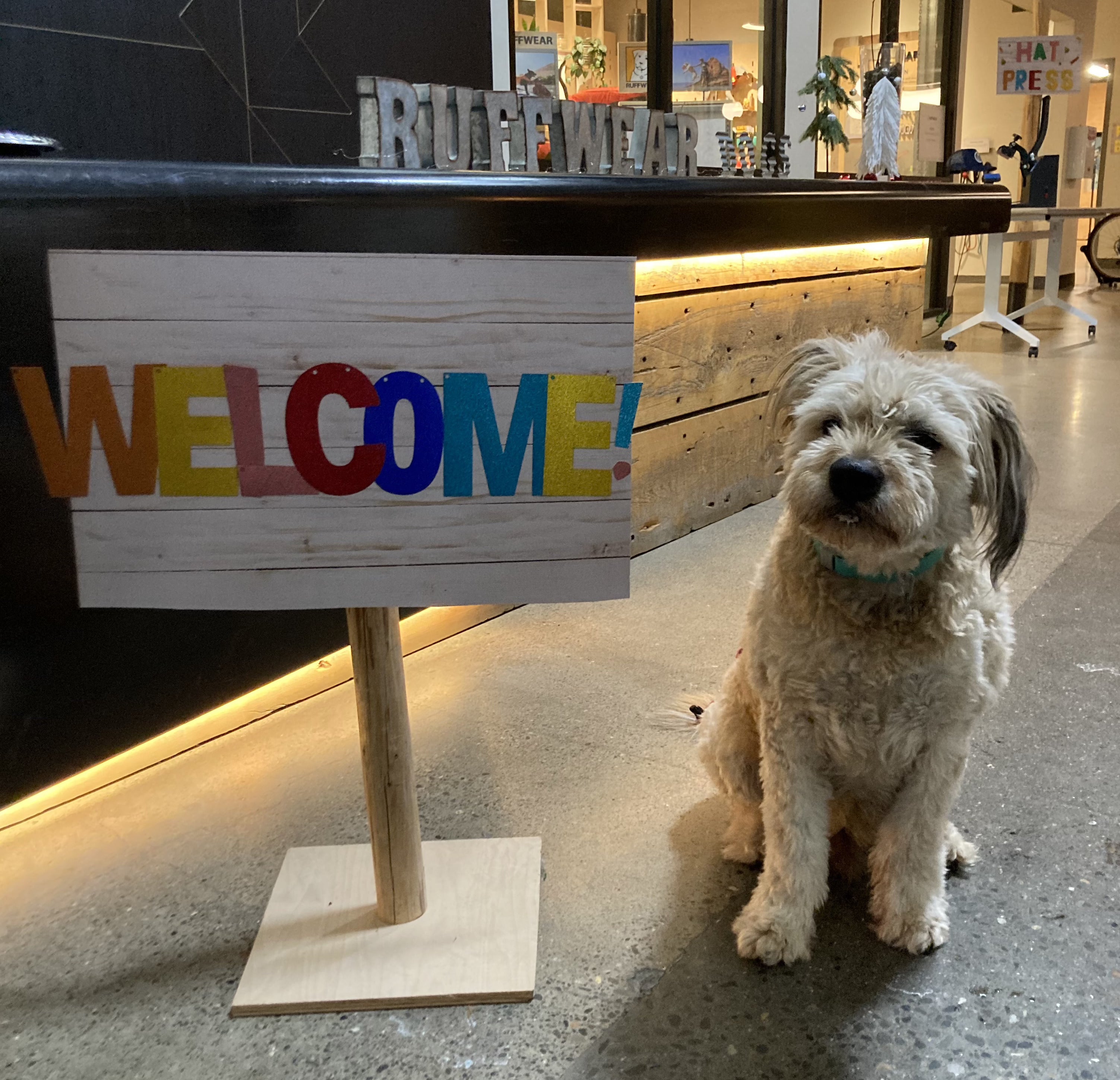 A dog sits by a welcome sign at the Ruffwear Howliday Party.