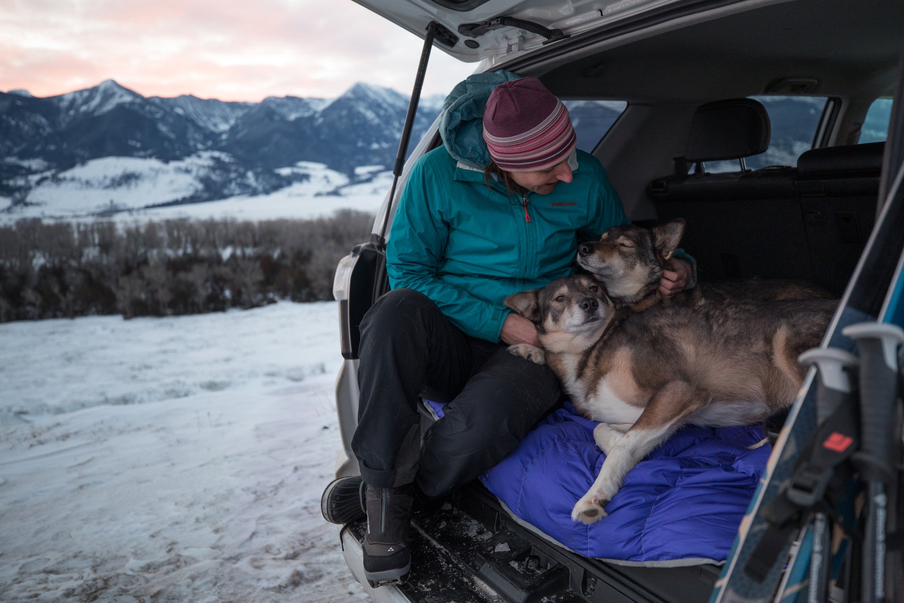 Two dogs on clear lake blanket snuggling with human in back of car after a ski.