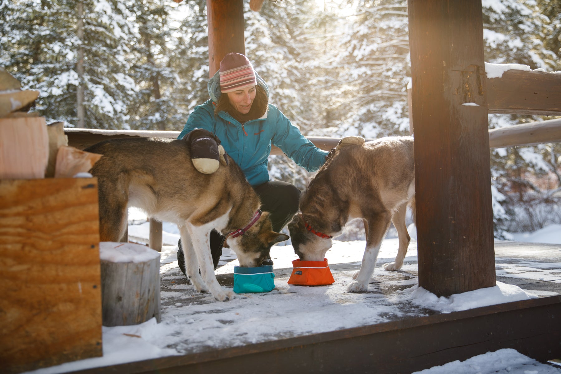 Dogs stop on the porch of a ski warming hut to drink water out of their quencher bowls.