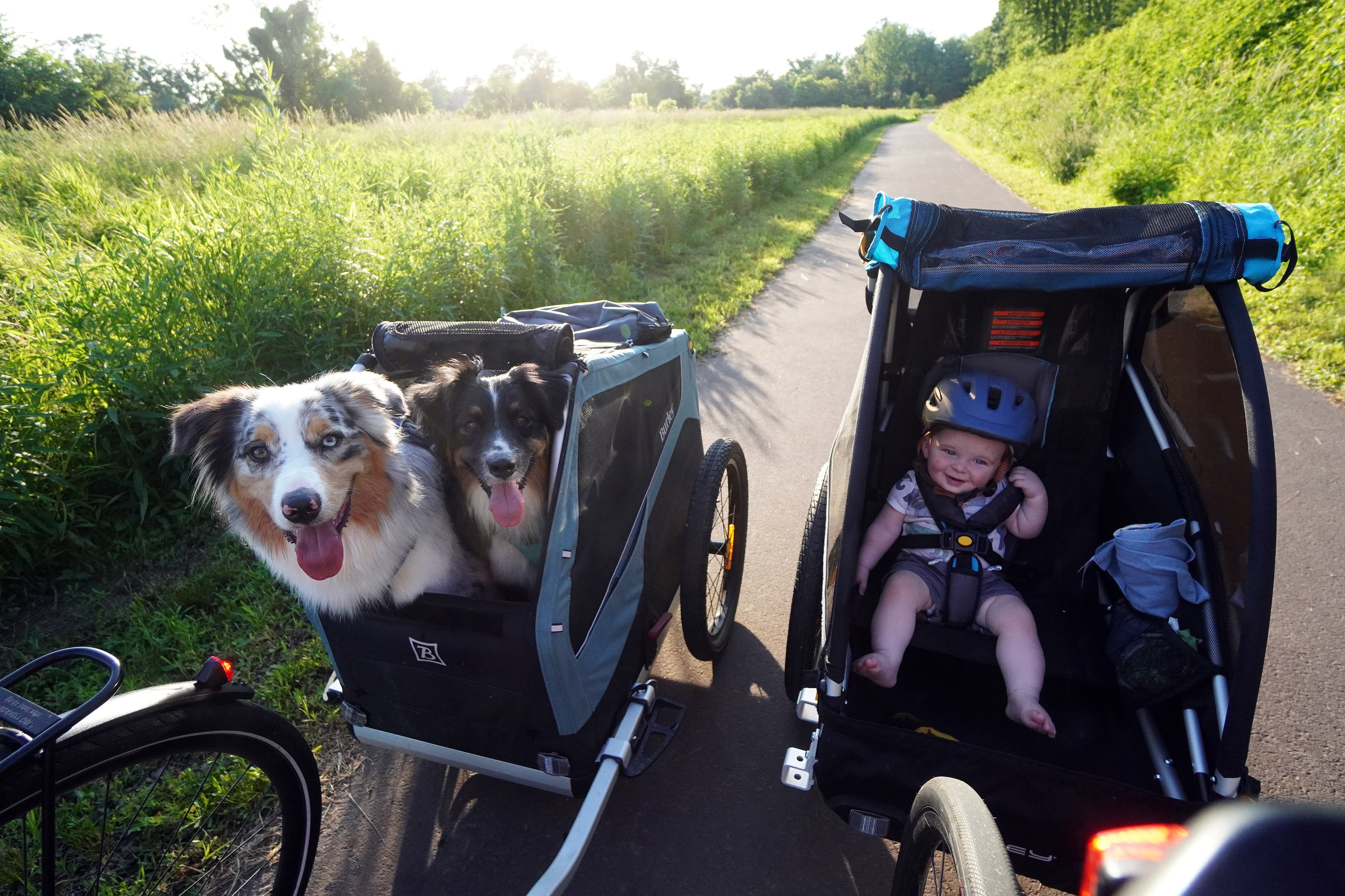 A baby is in one bike trailer and two dogs are in another bike trailer. 