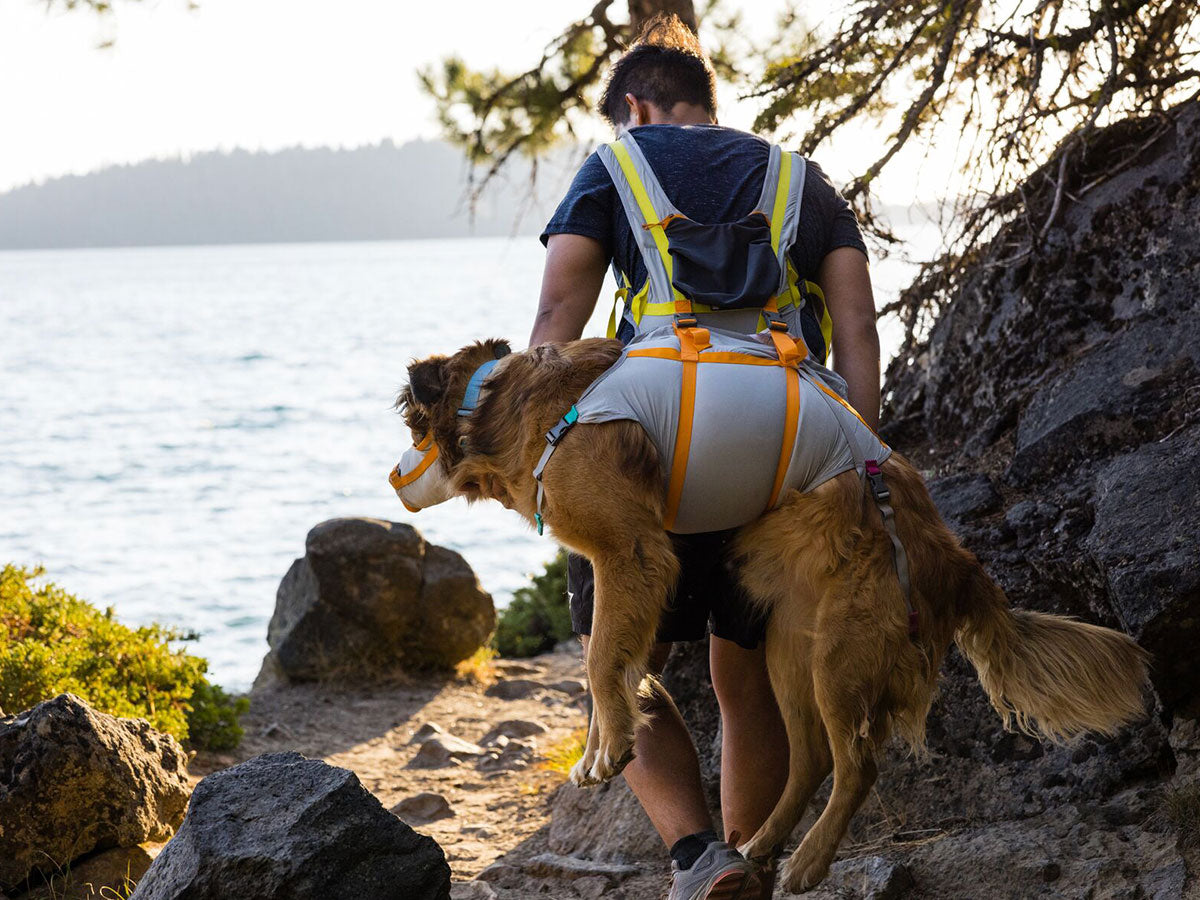 A man carries his dog out the trail using the BackTrak. They are walking by a lake. The dog is on his back.
