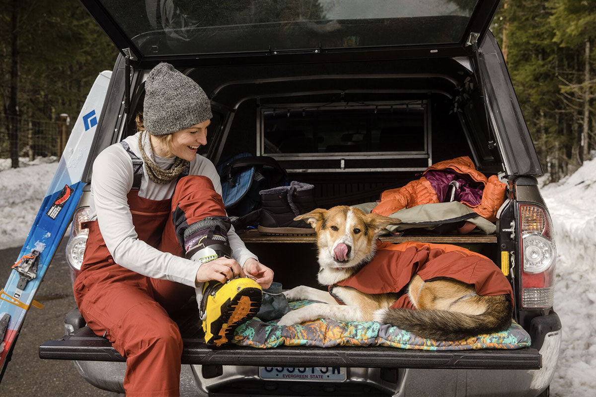 A dog licks their chops on a basecamp bed in the trunk of their adventure van.