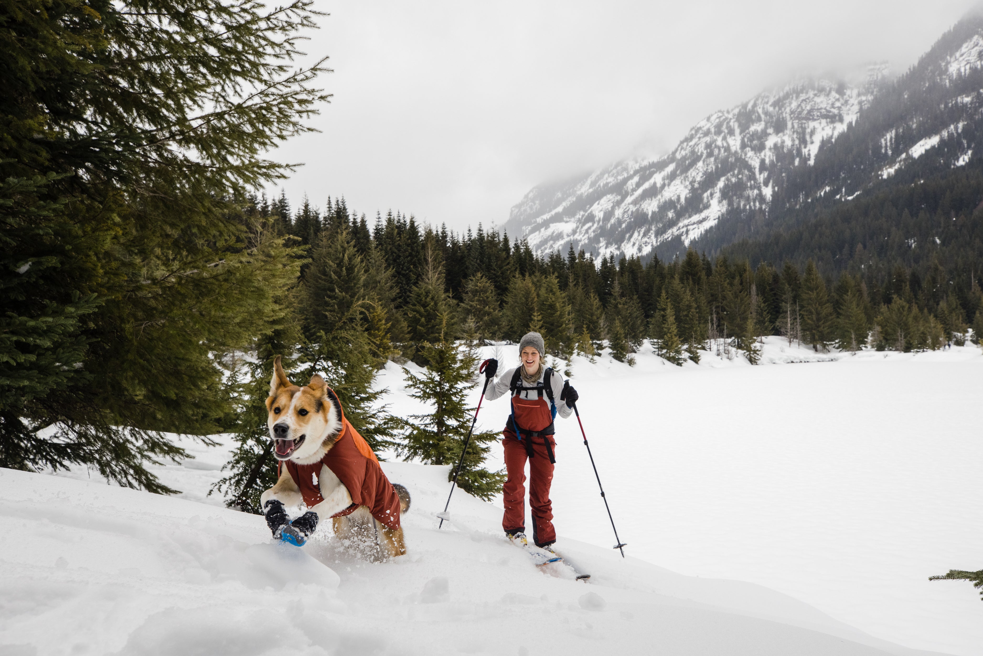 A dog leaps through the snow with her Ruffwear Polar Trex™ Dog Boots while her owner skis behind her. 