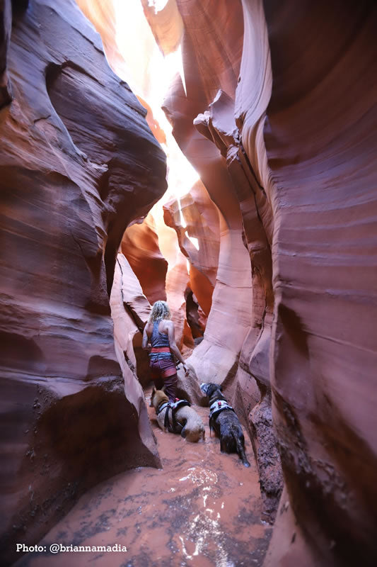 Woman with two dogs walk through a red rock slot canyon.