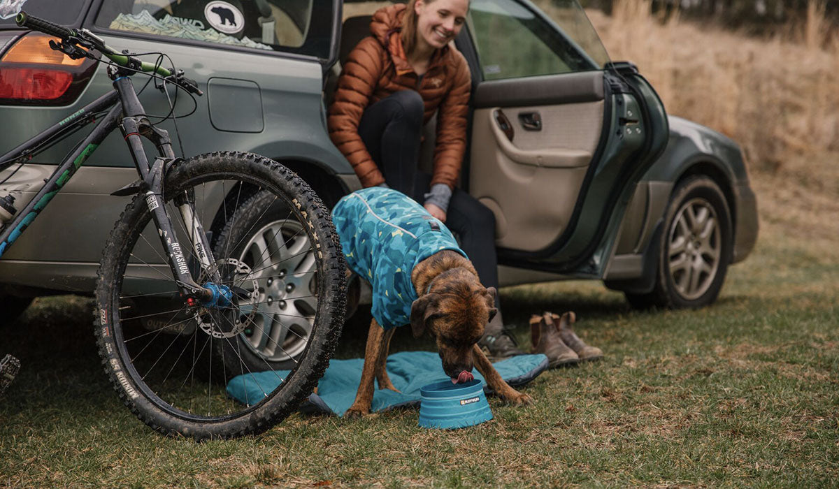 A woman watches her dog drink while wearing a Climate Changer™ Dog Fleece