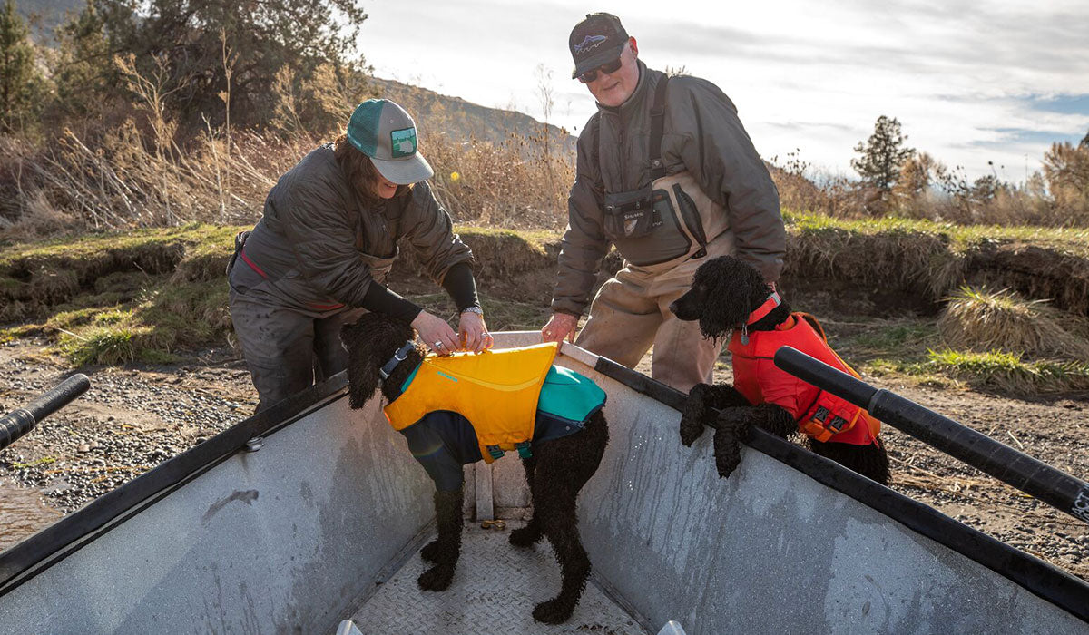 Two humans stand by their dogs in a boat. The dogs are wearing Confluence Collars.