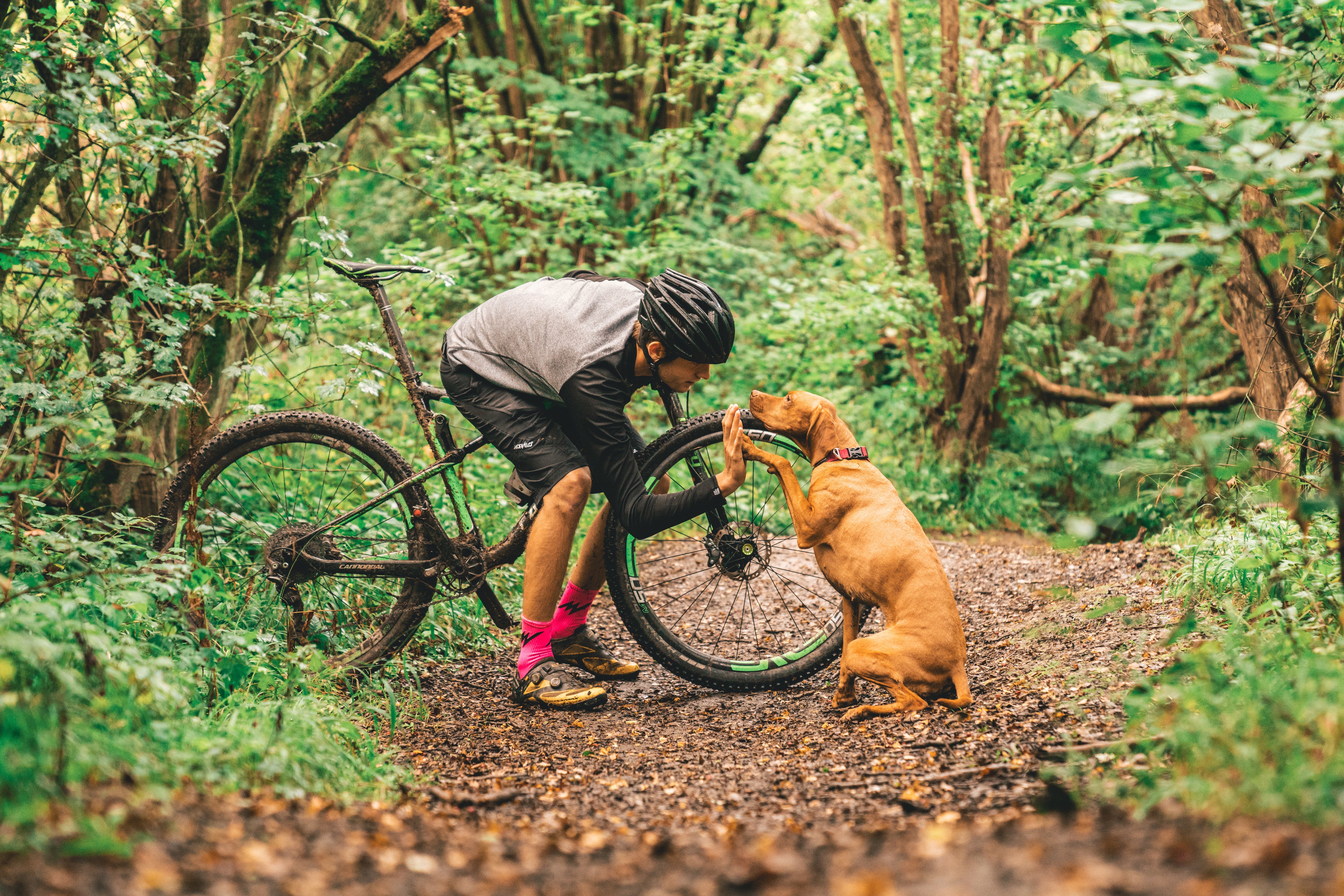 A man takes a break from mountain biking to high-five his dog. 