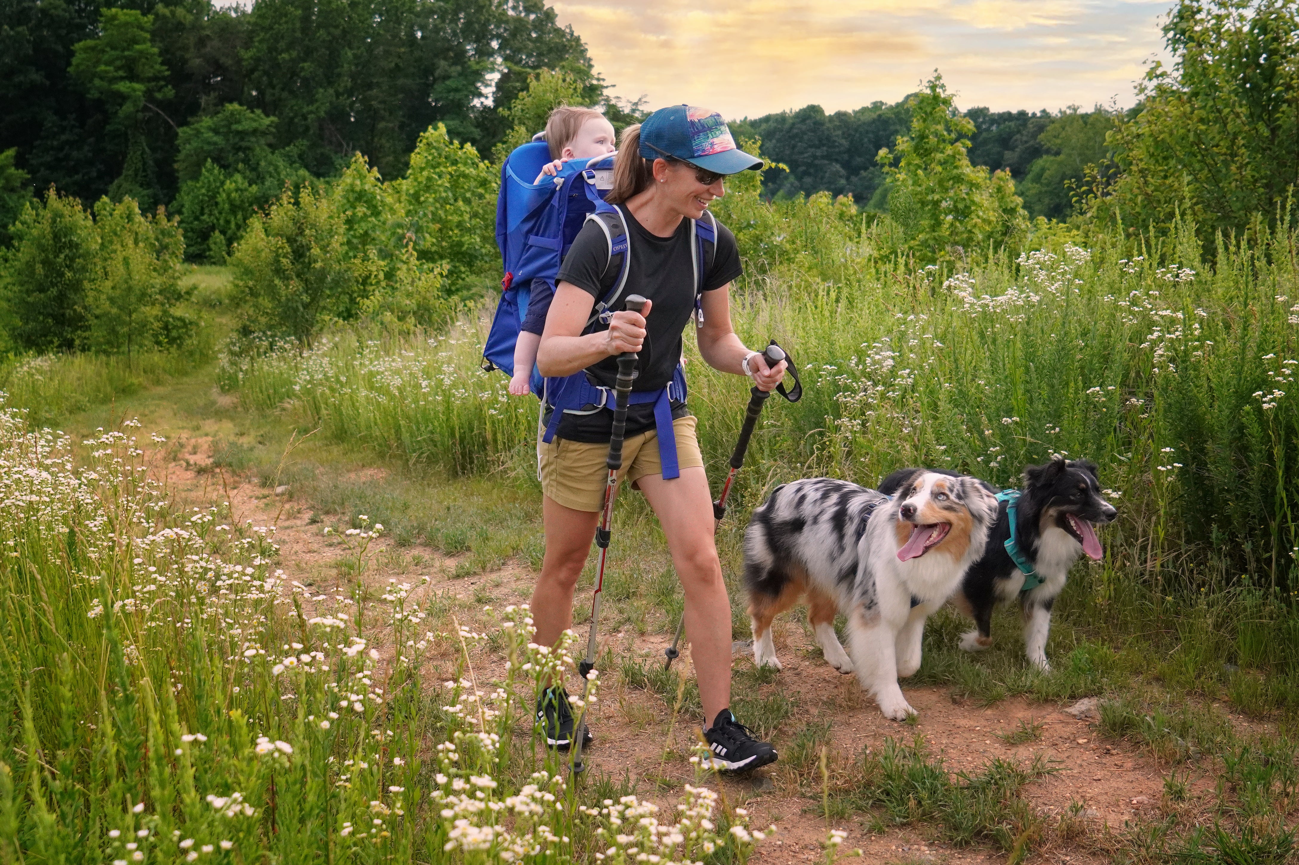 A woman hikes with her baby and dogs. 