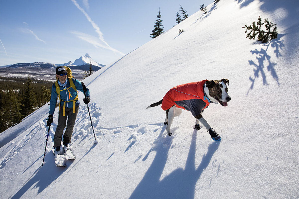 A man and dog walk across a snowy hill side ready for the downhill