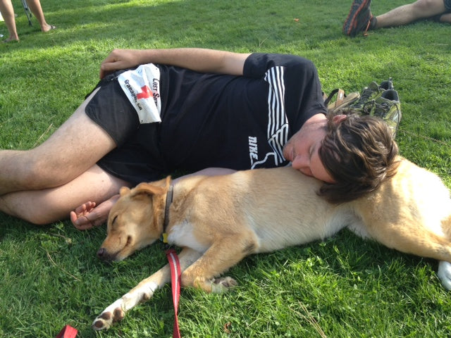 David and Ginger rest up after a race