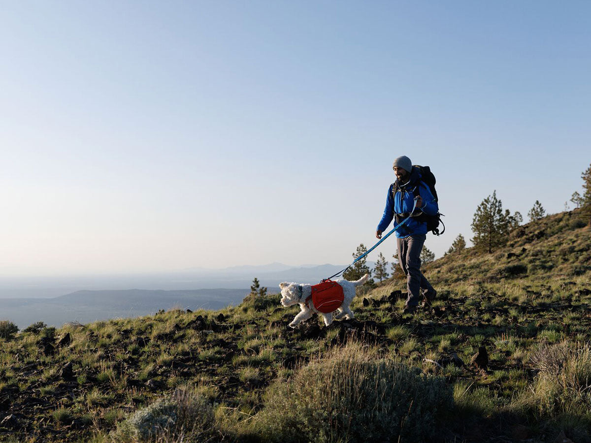 A man is hiking with his dog. The dog is wearing a Palisades Pack and a Crag Leash and Collar.