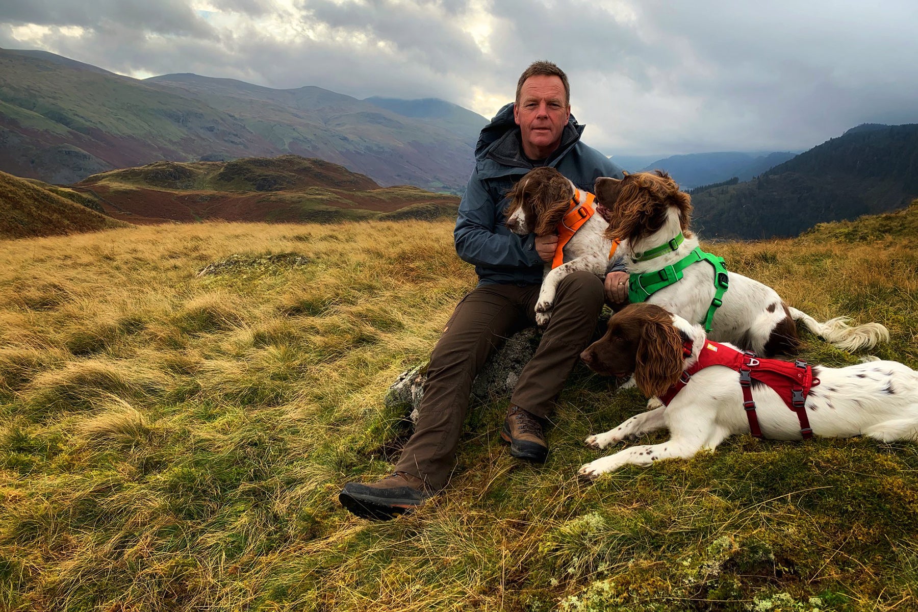 Ambassador Kerry with his three dogs in ruffwear harnesses outdoors.