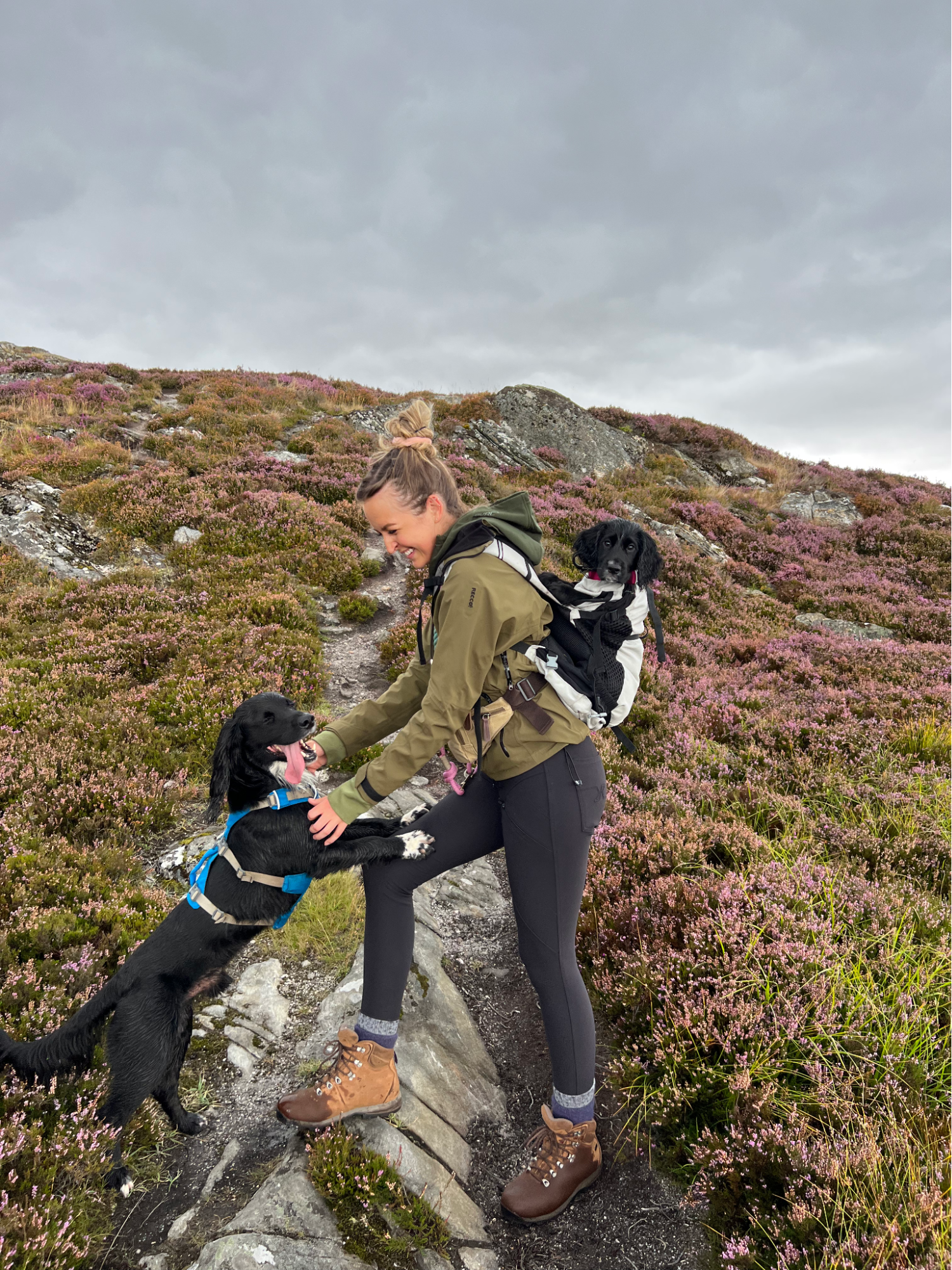 Woman hiking with two dogs - one of the dogs is in a backpack dog carrier