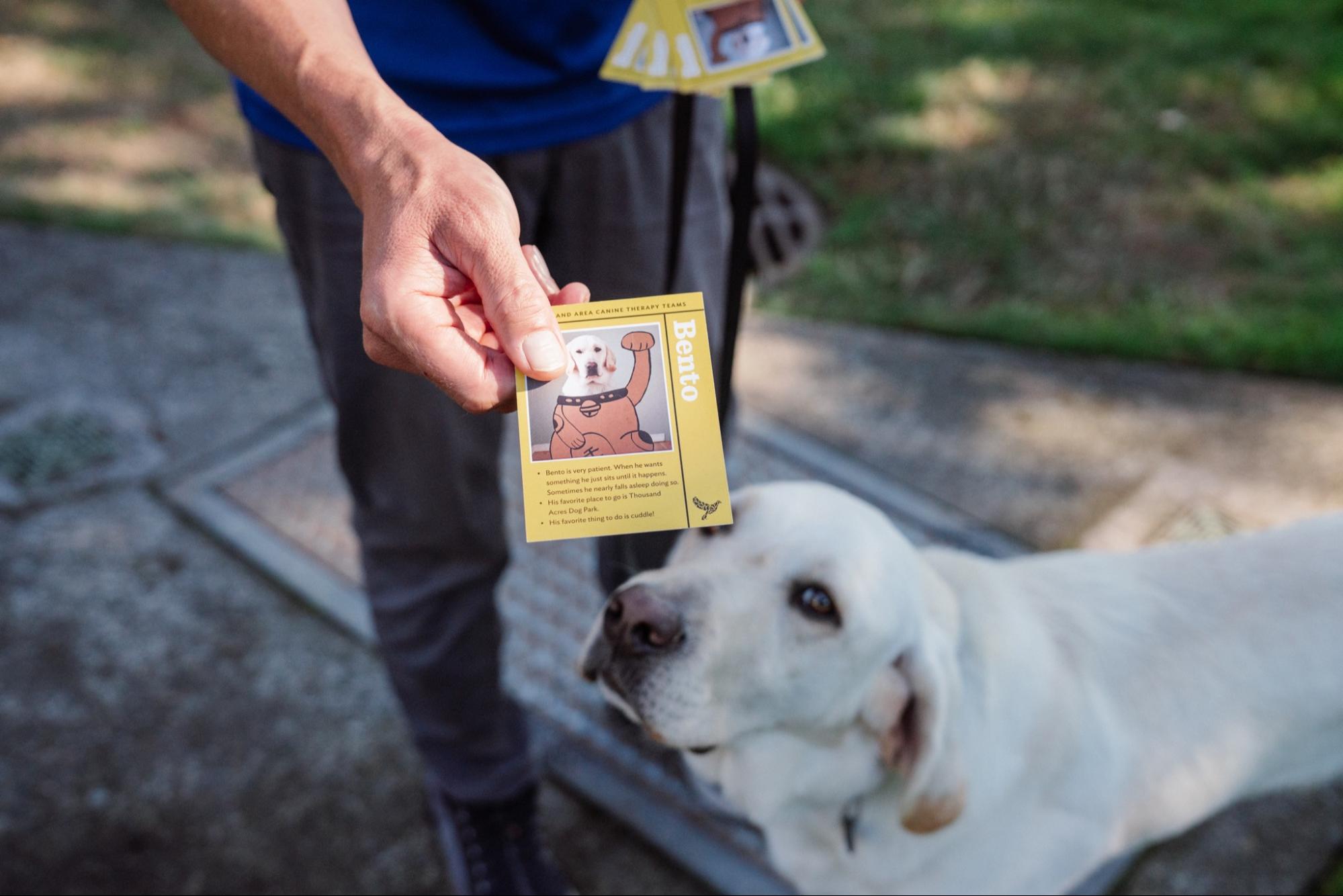 A man stands with his therapy dog and holds out the therapy dog badge. 