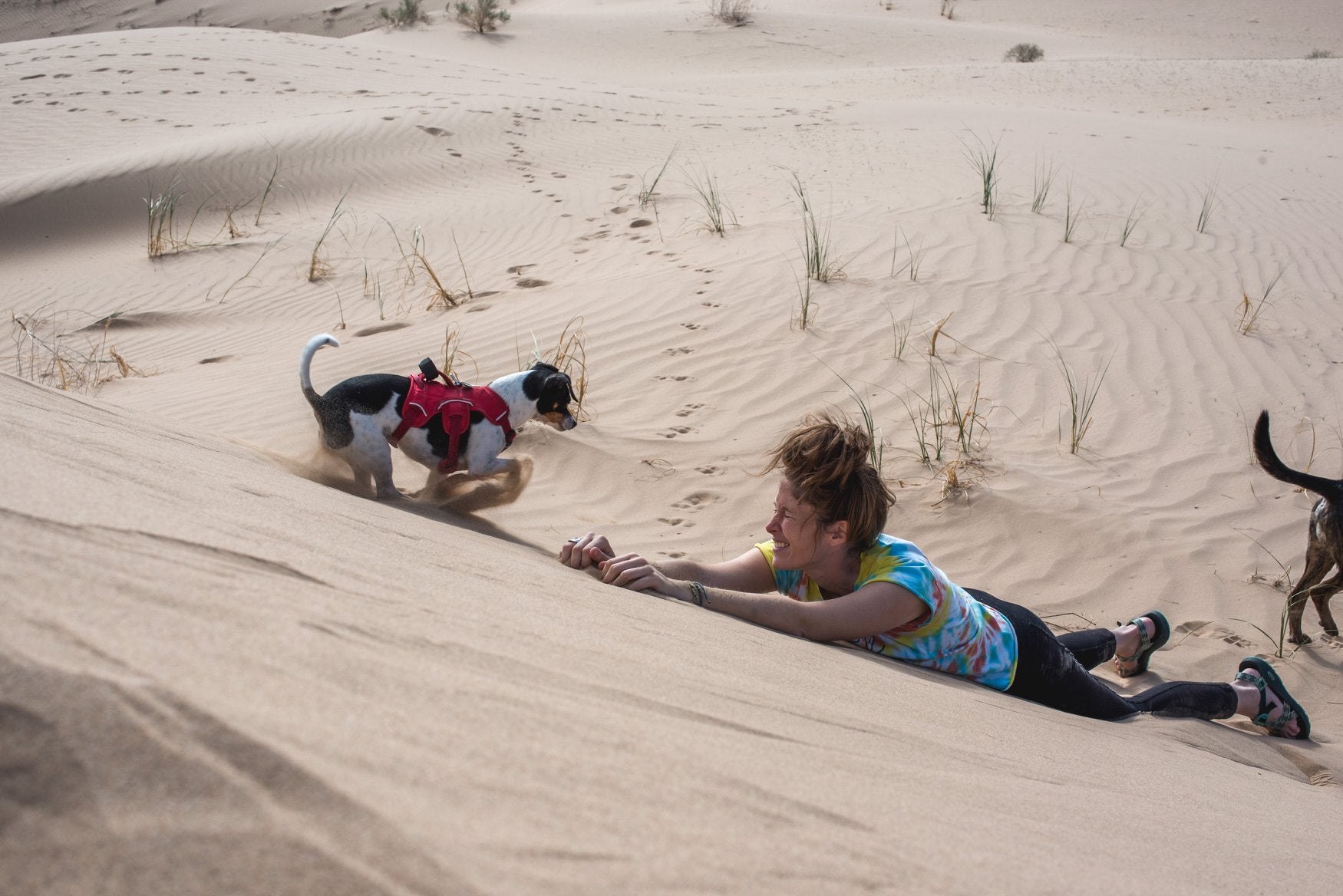Woman laying on a sand dune with a small dog running up to her