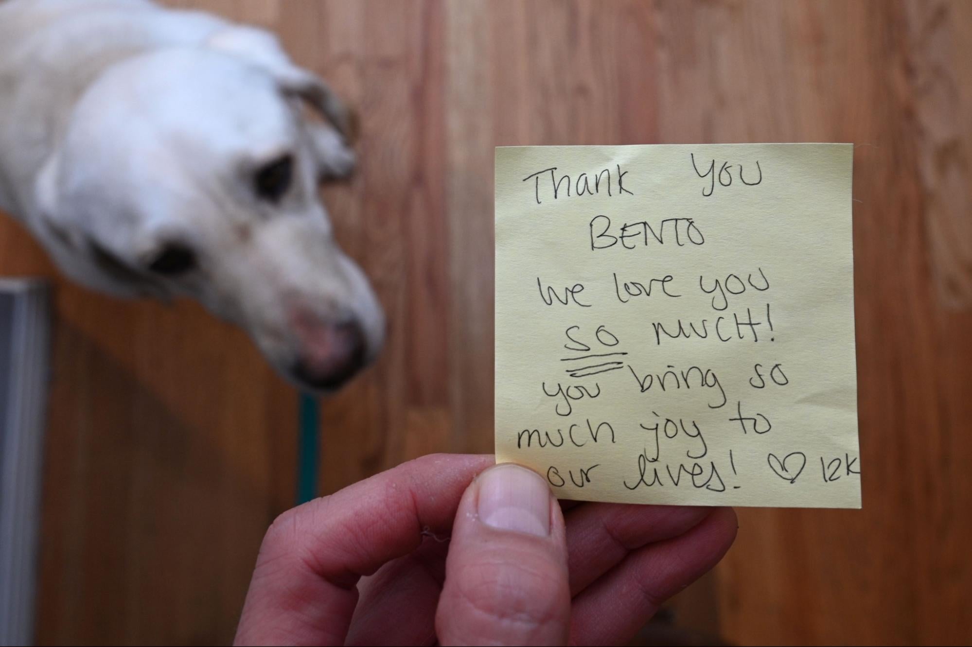 A man holds a post-it note with a written message thanking him and his therapy dog for their work. 