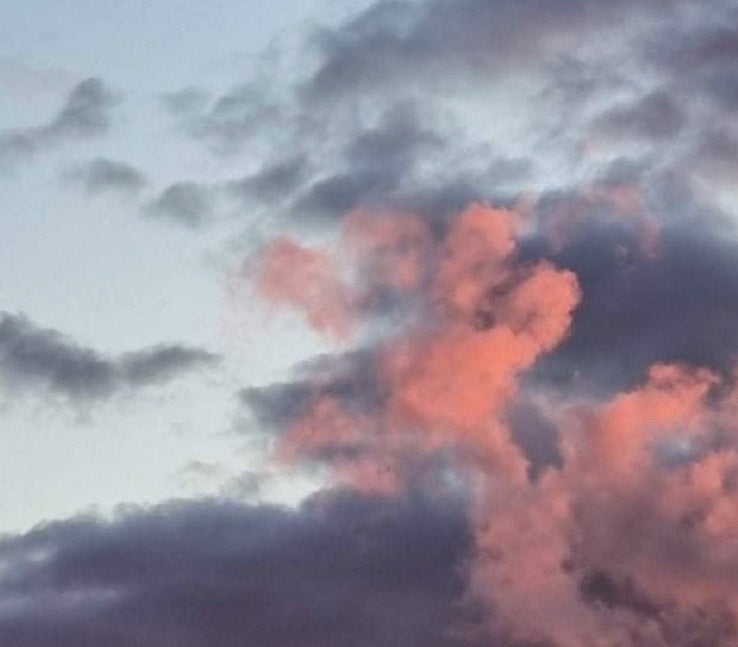 An image of a sunset with the shape of a paw in the clouds. 