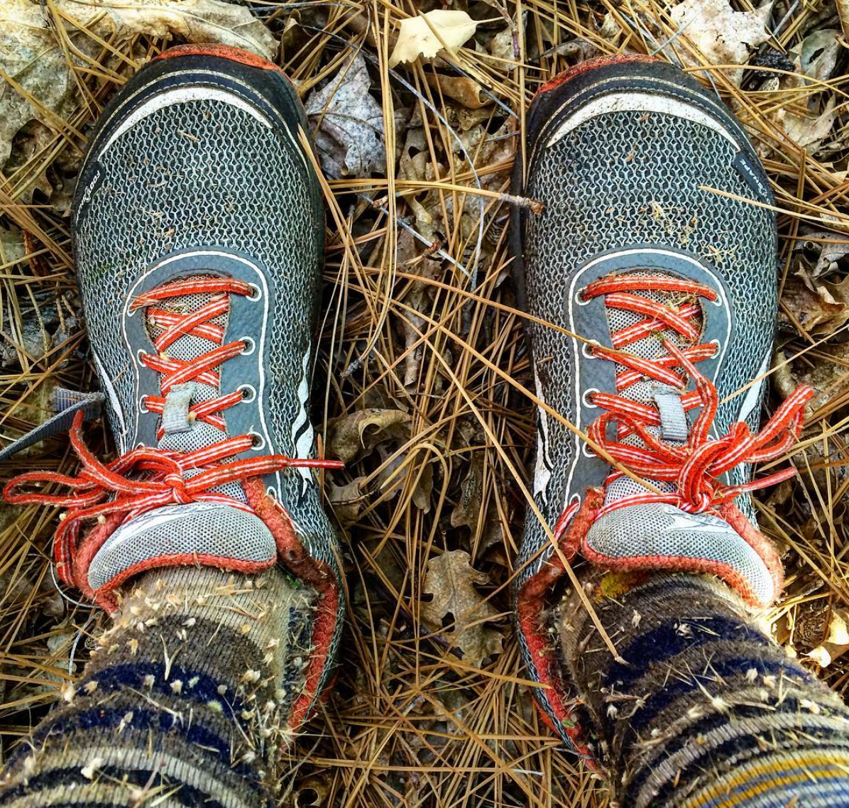 Alli's shoes and socks covered in burrs.