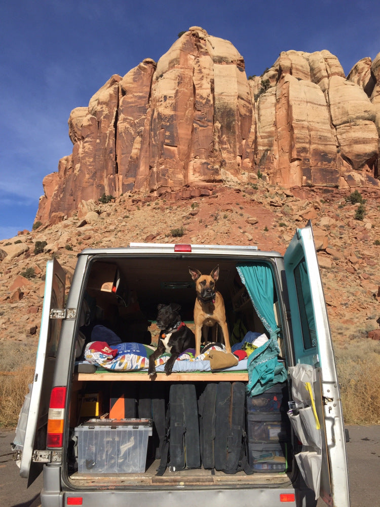 Dogs in the back of the van at the base of red rocks.