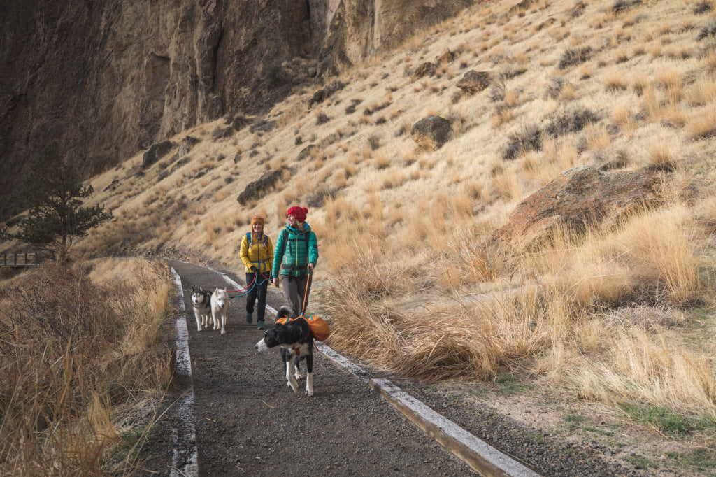 Two woman and three dogs geared up for climbing walk along the canyon at Smith Rocks State Park.