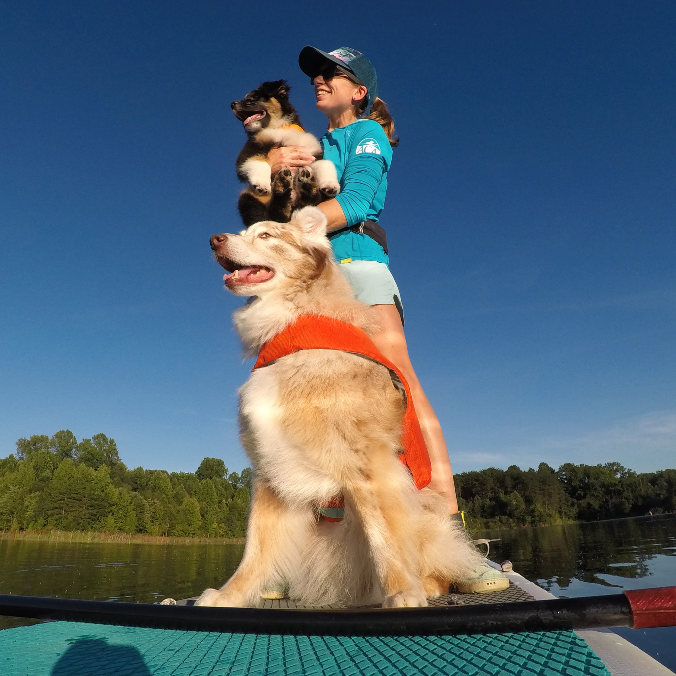 maria on stand up paddleboard with her two dogs in their float coat dog life jackets.