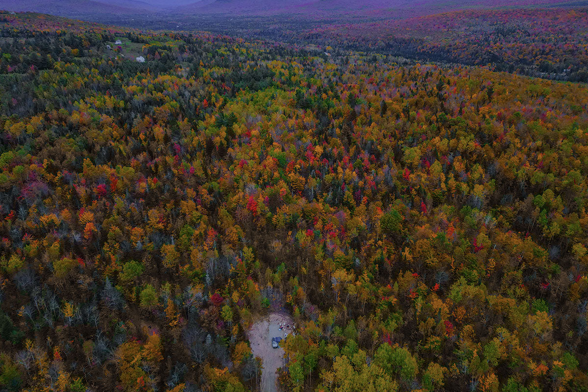 Mt Mansfield's surrounding area in fall