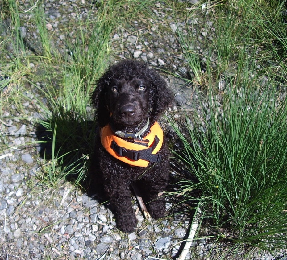 Midge sits by the river in Float Coat.