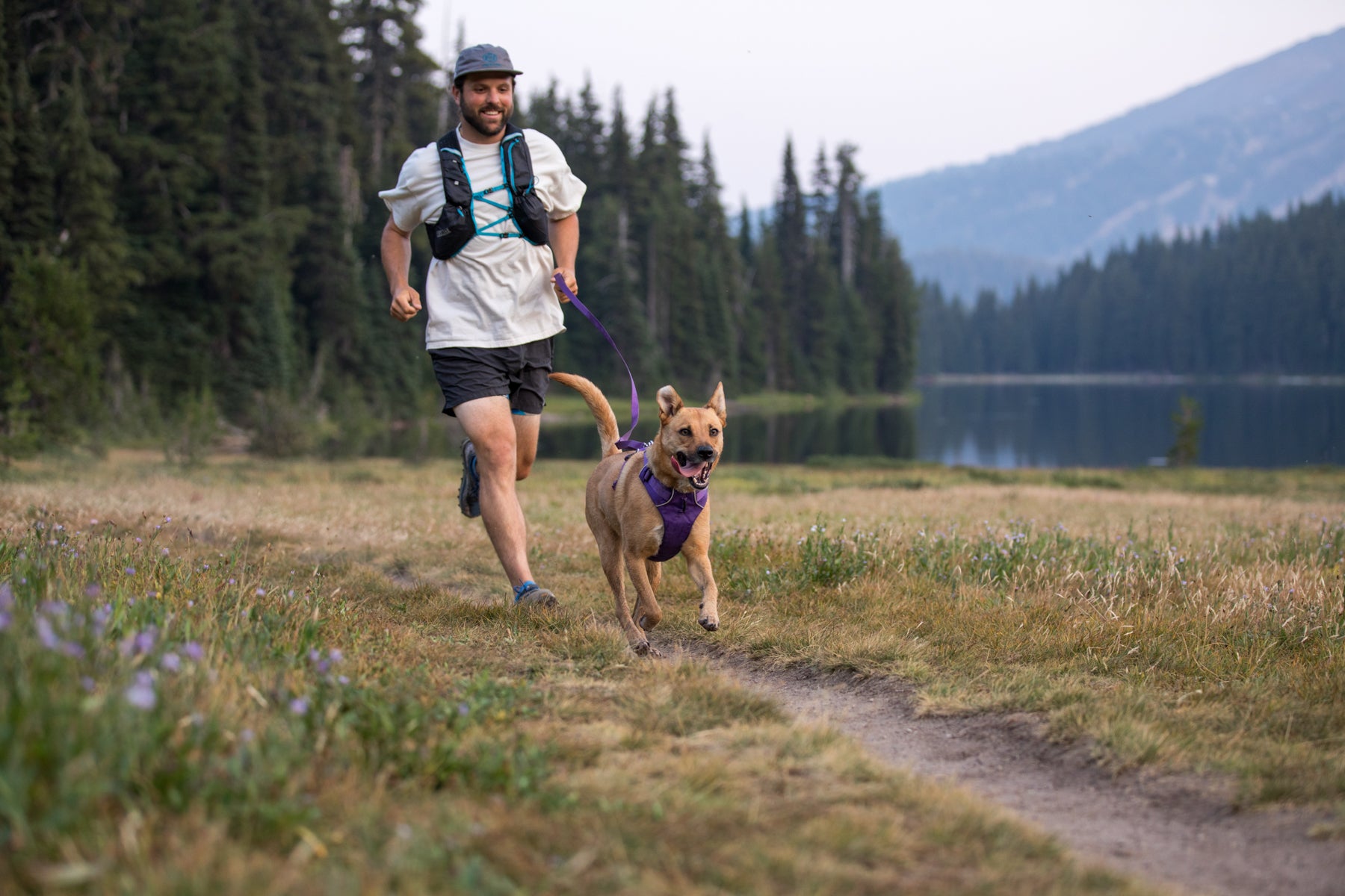 Human trail running along Todd Lake with their dog in purple Front Range Harness and Leash with mt Bachelor in the background.
