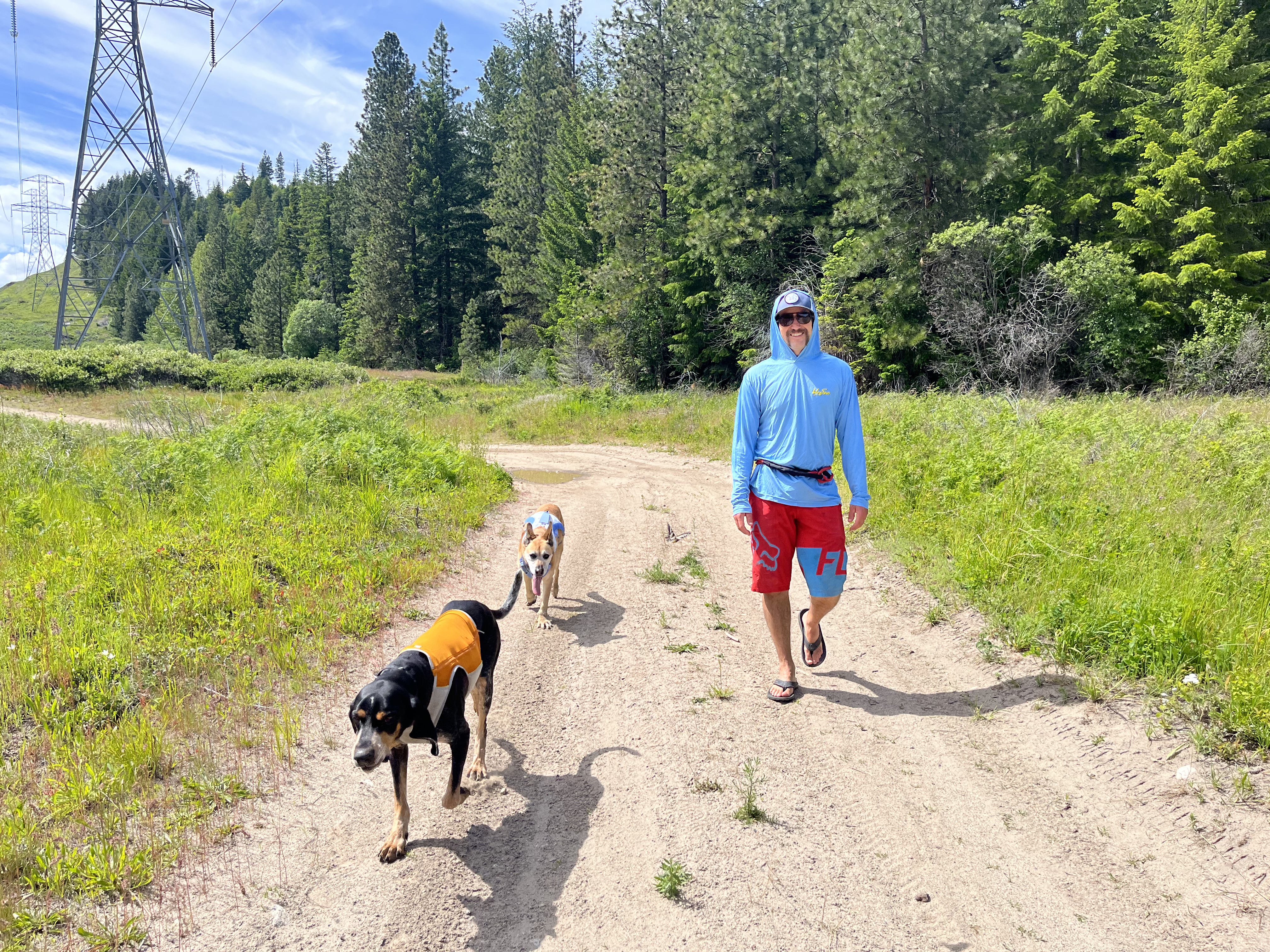 A man and two dogs walk on a trail. 