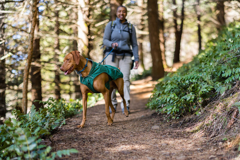 A dog wearing an Overcoat Fuse Jacket hikes with her human companion. 